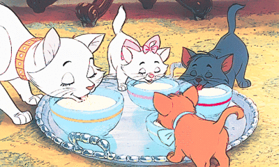 The AristoCats Drinking Game