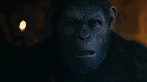 War for the Planet of the Apes Drinking Game