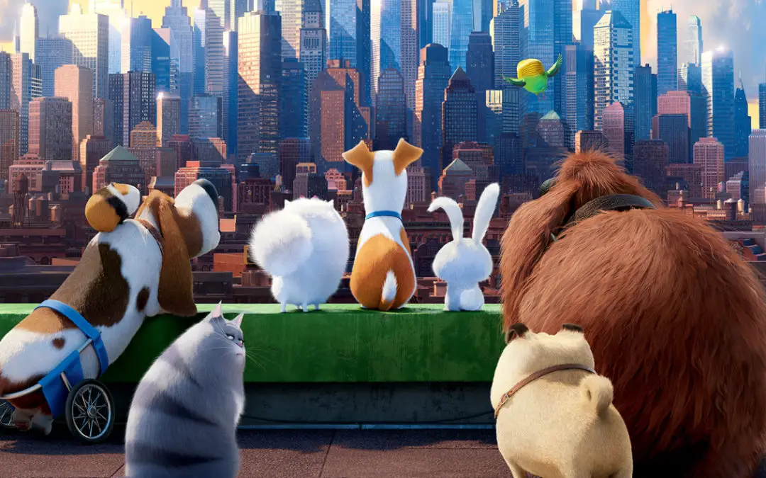 The Secret Life of Pets (2016) Drinking Game